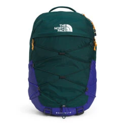 The North Face Borealis -Outdoor Sports Equipment Store NF0A52SE 8N6 hero