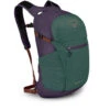 Daylite Plus -Outdoor Sports Equipment Store dayltpluss21 f22 side axogreenenchantmentpurple