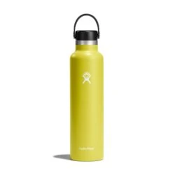 Hydro Flask 24 Oz Standard Mouth Water Bottle -Outdoor Sports Equipment Store s24fs752 cactus straighton
